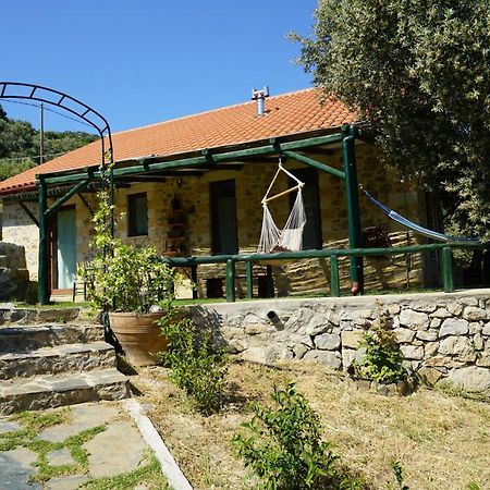 Elpida Country House -Paleochora-Anidri Exteriör bild